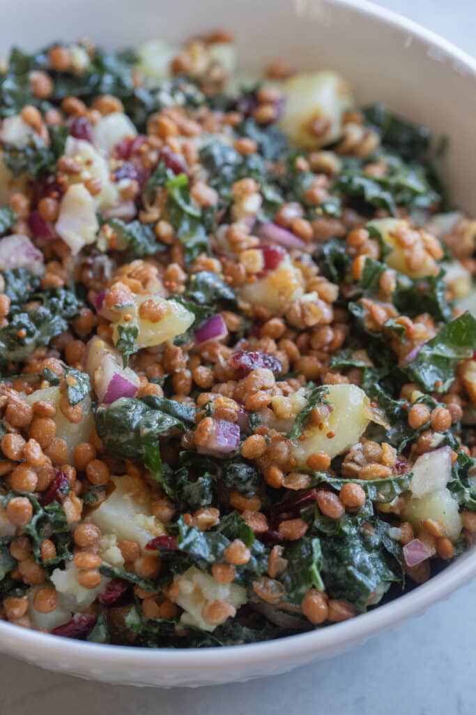 close up of a bowl of lentil kale and potato salad with mustardy dressing
